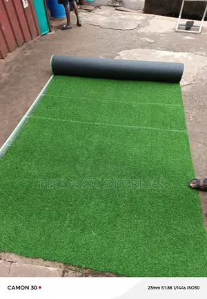 Carpet Grass