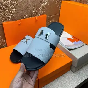 Hermes Palm 