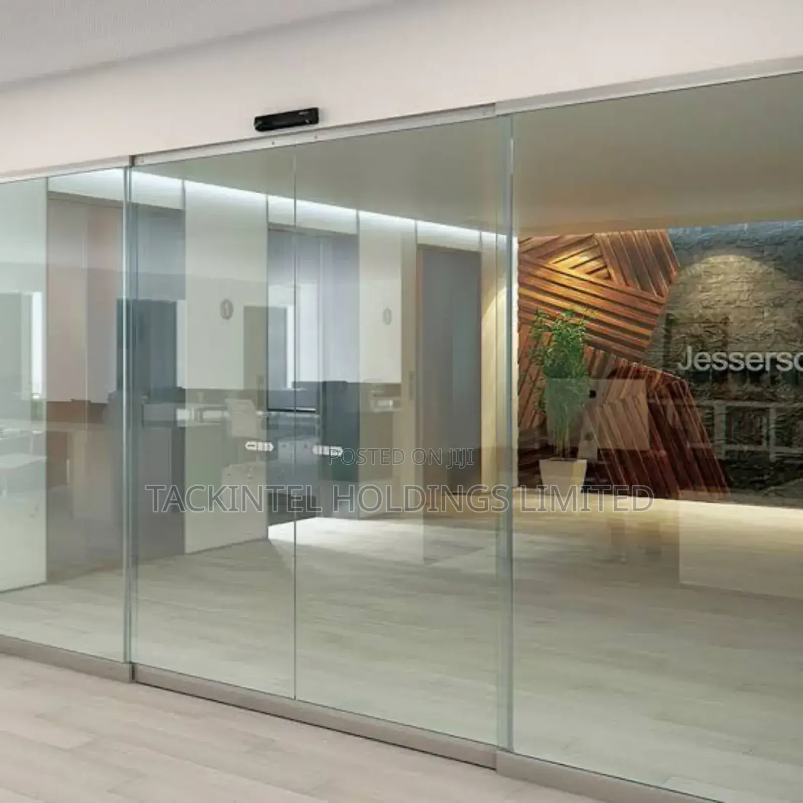 Automatic Frameless Doors