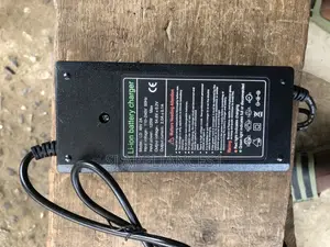 The Original 48v Charger Available Now