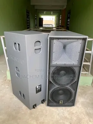 Ariz Sound Double Big Magnet SPK