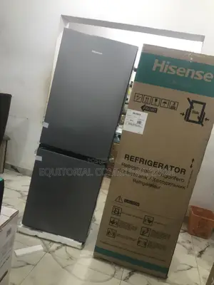 Sophisticated Hisense 225l Refrigerator 29dca Double Door