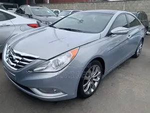 Hyundai Sonata 2013 Silver