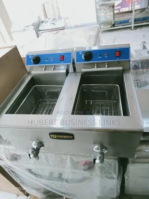 Industrial Electric Fryer 20liters Double