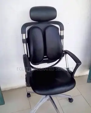 Ergonomic Kidney Chair