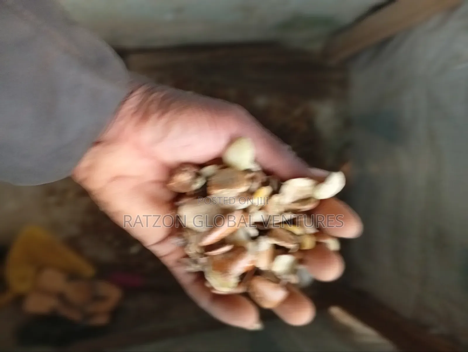 Ogbolo Vendor