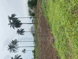 Total of Two Plot of Land Available for Sale in Owerri West