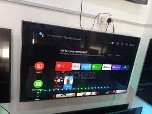 Sony Android 65 Inches