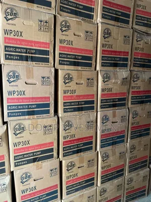 Yamashita Water Pump Wp30x