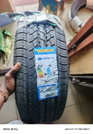 265/60r 18 Winda Tire