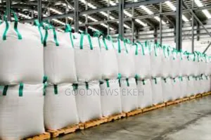 Extra Large Jumbo Exportation Bag for Heavy Sizeable Items