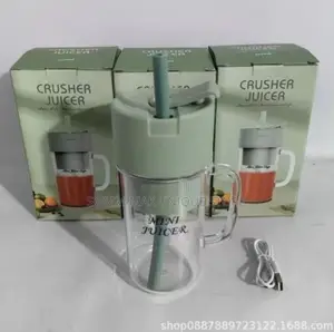 Rechargeable Mini Fruit Crusher for Shakes and Smoothies