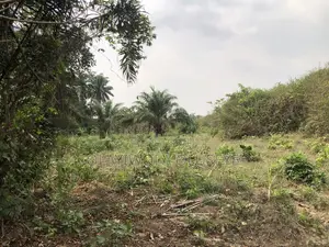 Good Agric Farm Land for Sale in Ogun State Nigeria