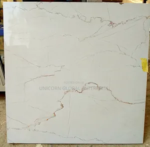 Photo - Virony Floor Tile Super Polished