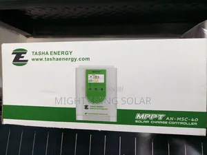 This Is Tasha 60ah Charging Control