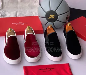 Exclusive Ferragamo Suede Shoe