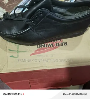 Redwing Shoe