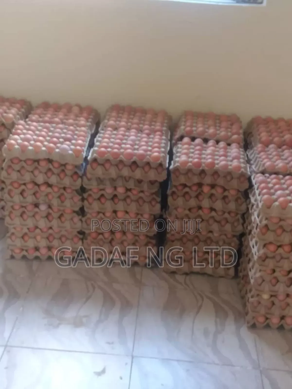 Eggs for Sell, in Large Quantity