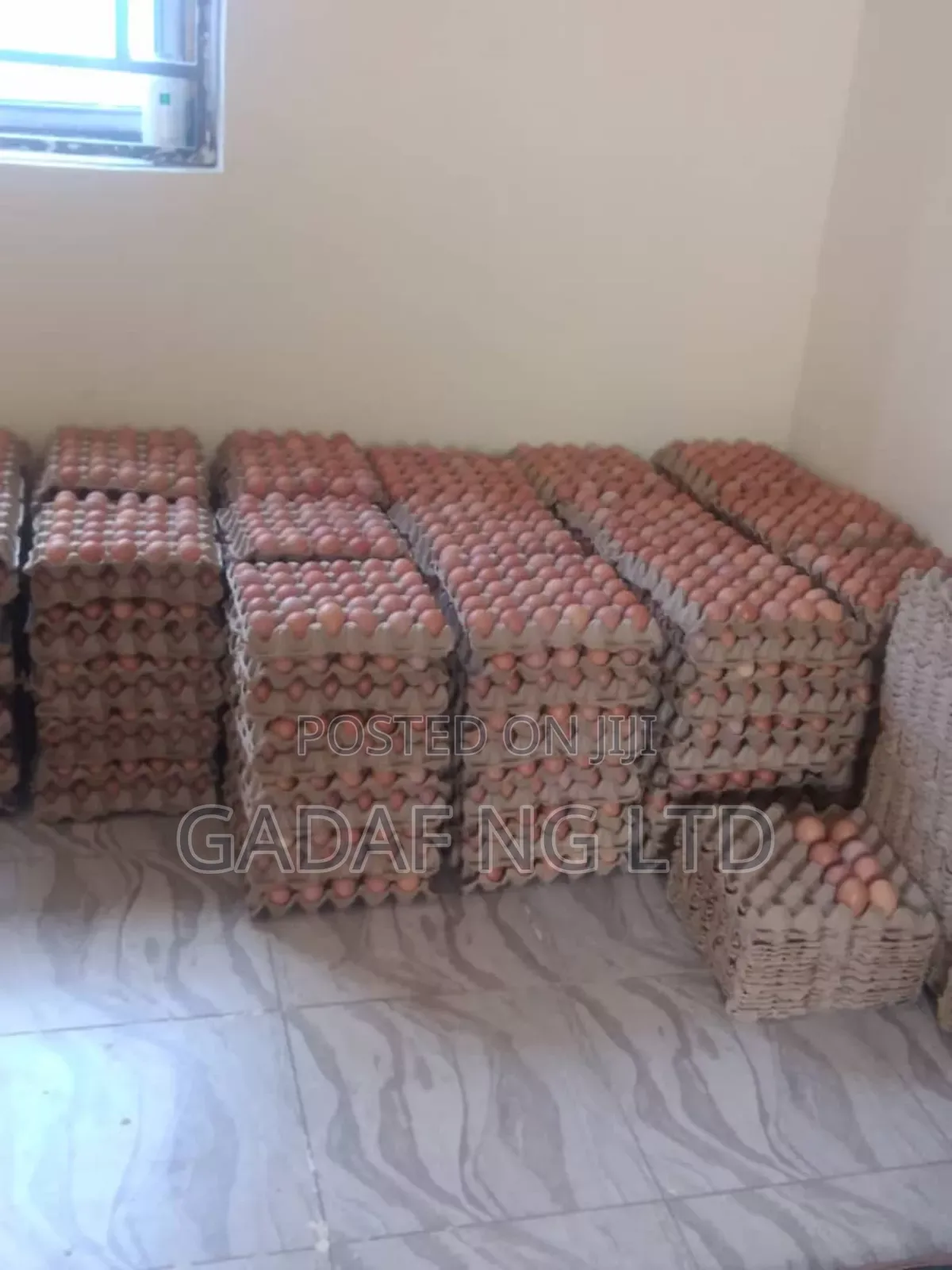 Eggs for Sell, in Large Quantity