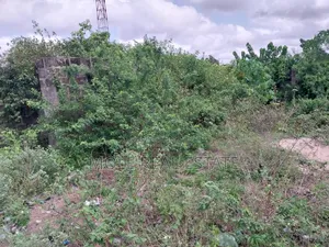 Photo - Two and Half Plots Along Egbeda Idimu ZRD