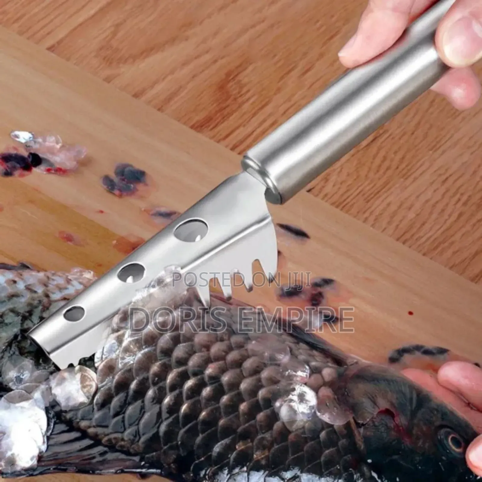 Qaulity Stainless Steel Fish Scale Scrapper.