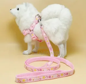 Pink Harness and Leash Available for Your Small Breeds