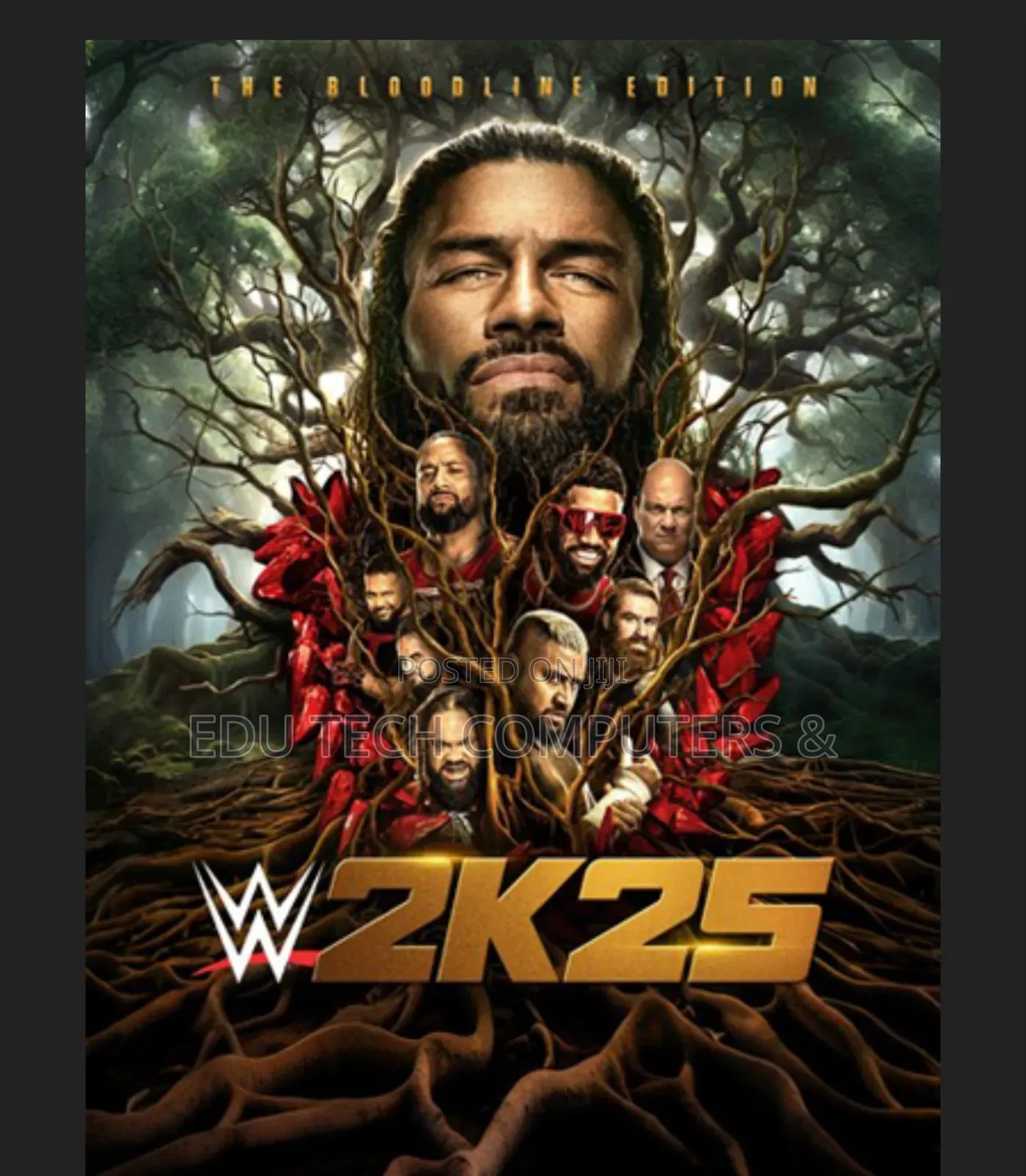 Wwe 2k25 for Pc
