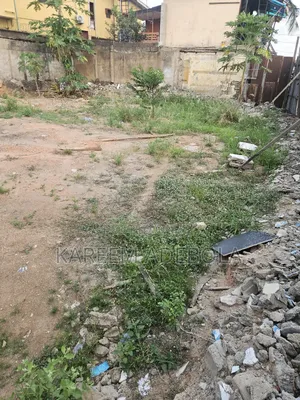 Non Waterfront Residential Land at Banana Island Ikoyi L