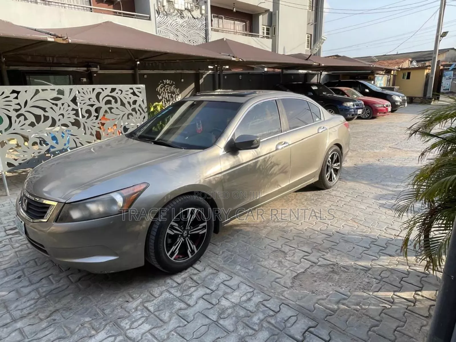 Honda Civic and Accord Available for Rent