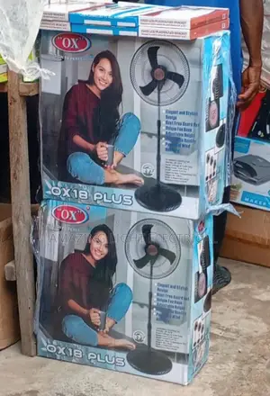 Standing Fans