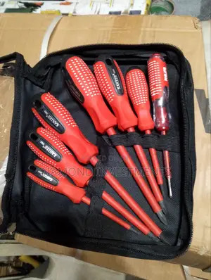 Set of Screwdriver
