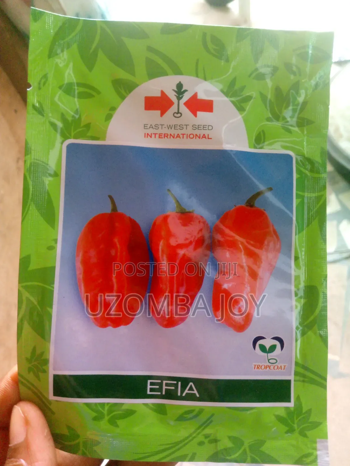 Efia Pepper