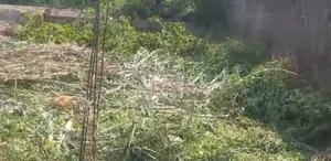 Plot Of Land For Sale