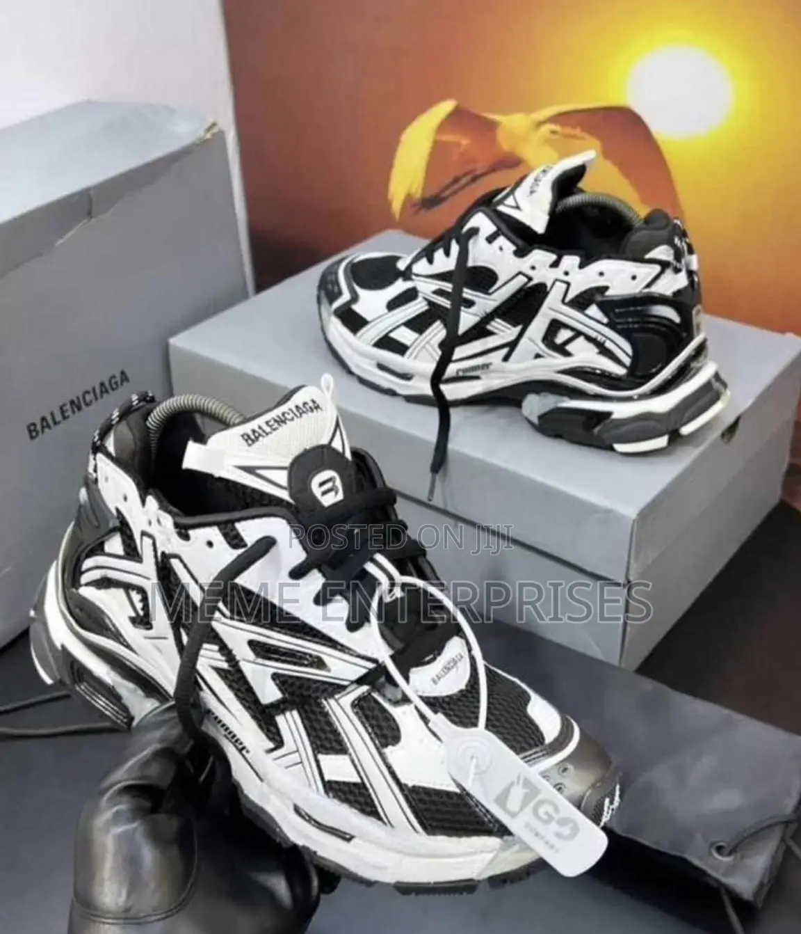 Authentic _Balenciaga Shoe