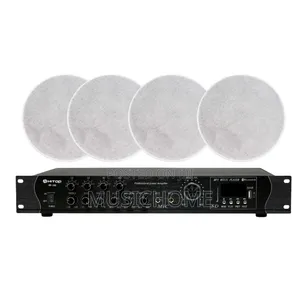Bluetooth Ceiling Speaker With Amplifier