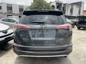 Toyota RAV4 XLE AWD (2.5L 4cyl 6A) 2016 Gray