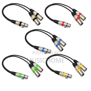 Customised Audio Cable
