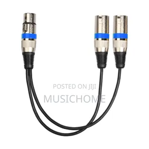 Customised Audio Cable