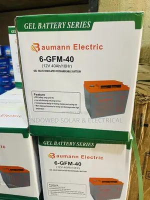 40ah 12v Baumann Deep Cycle Batteries Are Available