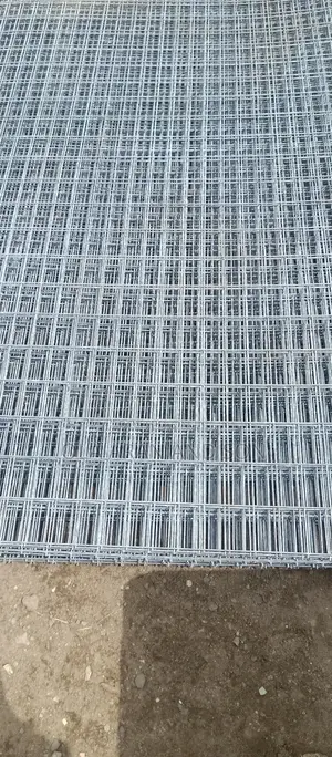 Galvanized Wire Mesh