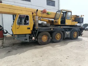 Powerful Modern Fairly Used 50ton Grove Truck Crane for Sale