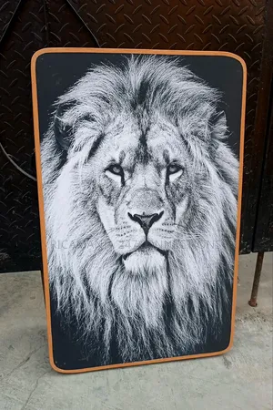 Photo - Lion Face Artwork Frameless