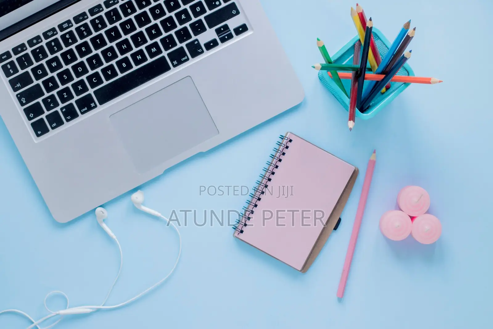 Professional Social Media Manager