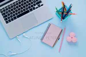 Professional Social Media Manager