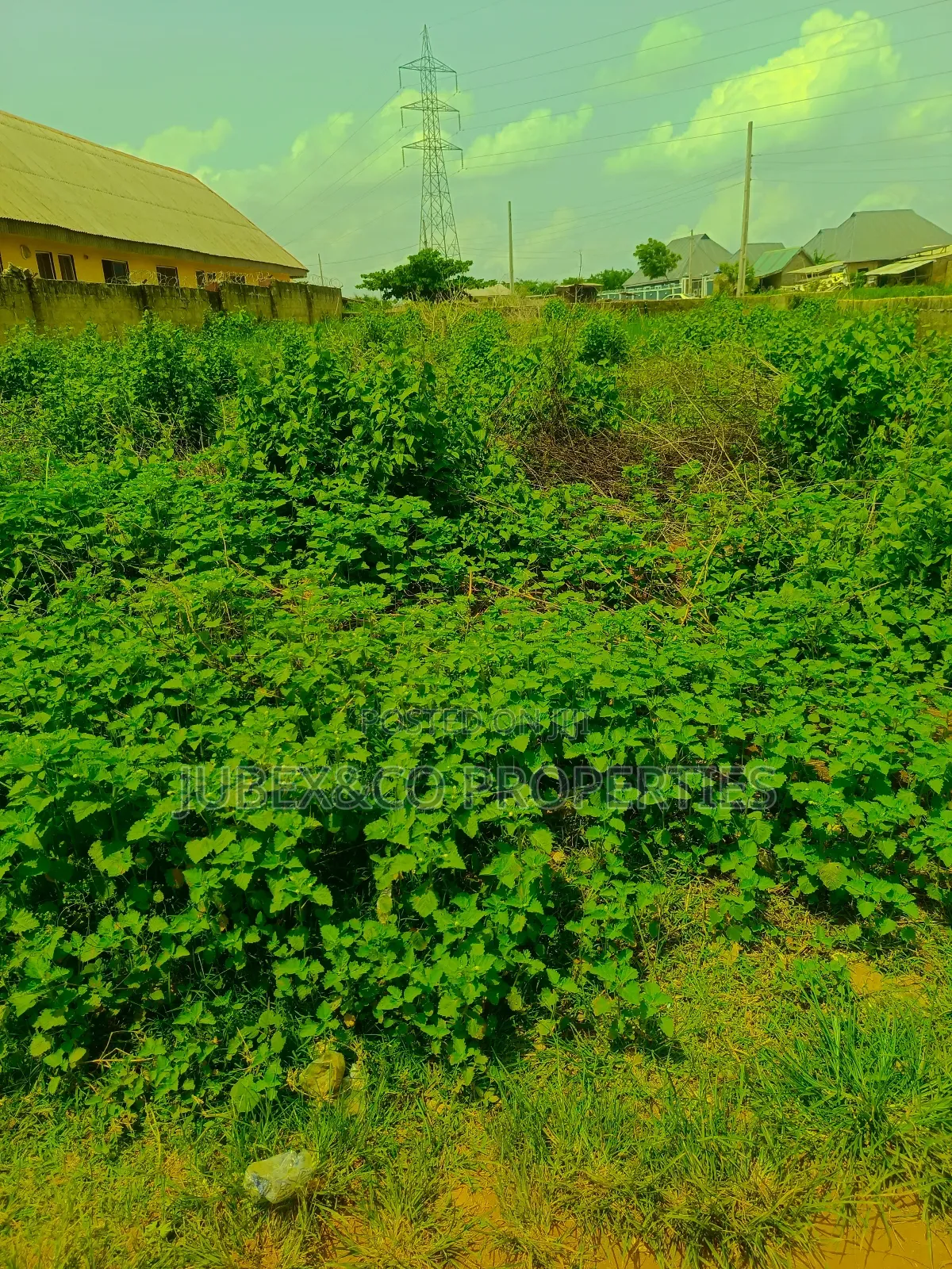 A Plot. At Ict Polytechnic Itori
