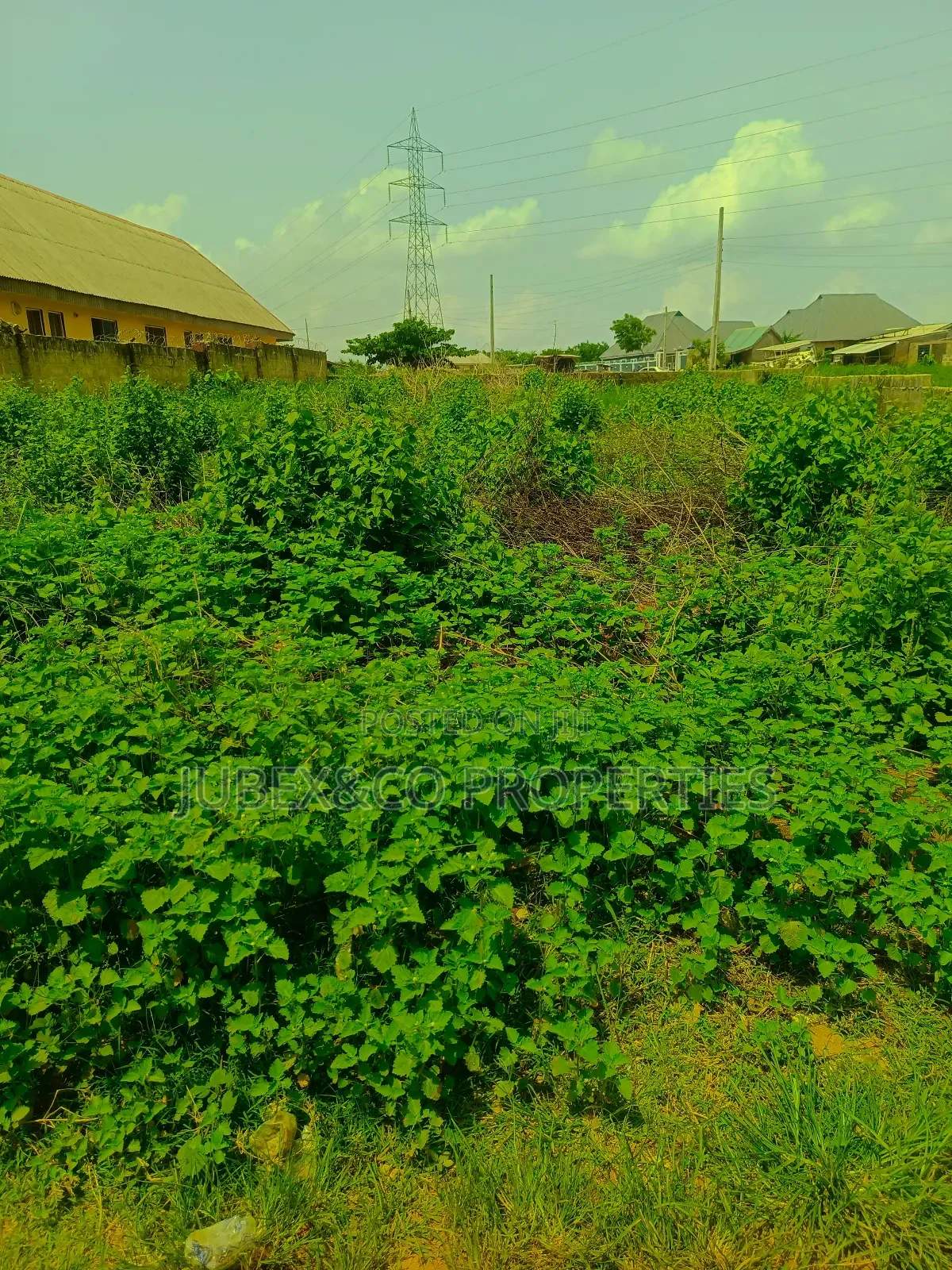 A Plot. At Ict Polytechnic Itori
