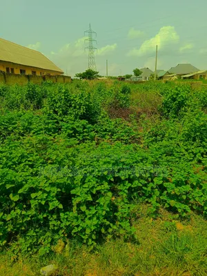 A Plot. At Ict Polytechnic Itori