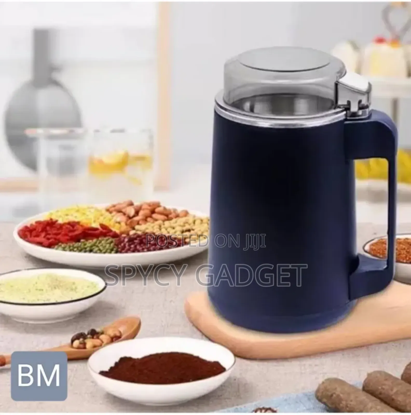 300 Watts Dry Stuff Electric Grinder