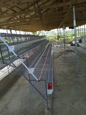 Semi Automated Layers Cage