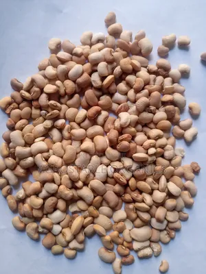 Red Beans for Meal and Seeds
